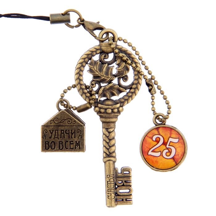 Ключ сувенирный "25 Ноября", серия 365 дней