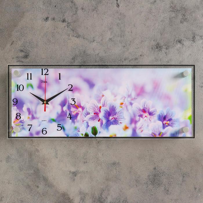 Часы-картина настенные, серия: Цветы, Полевые цветы, плавный ход, 20 х 50 см