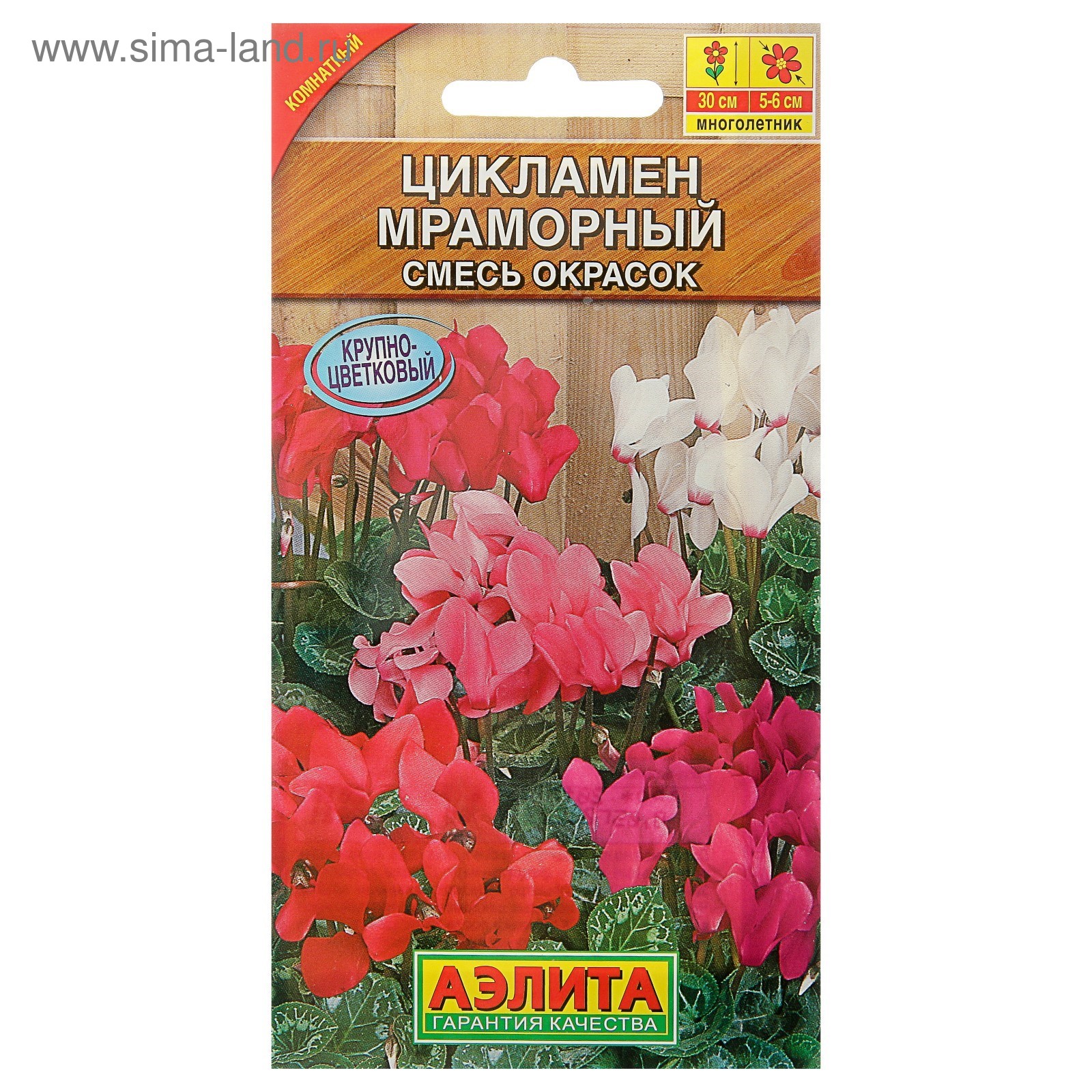 Семена Комнатных Цветов Фото