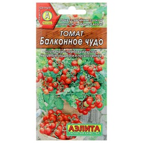 Семена  Томат "Балконное чудо", 0,1 г