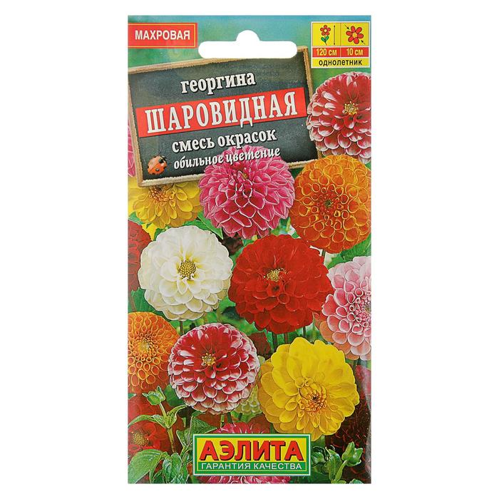 Семена цветов Георгина Шаровидная, смесь окрасок, О, 0,2 г георгина сандра шаровидная