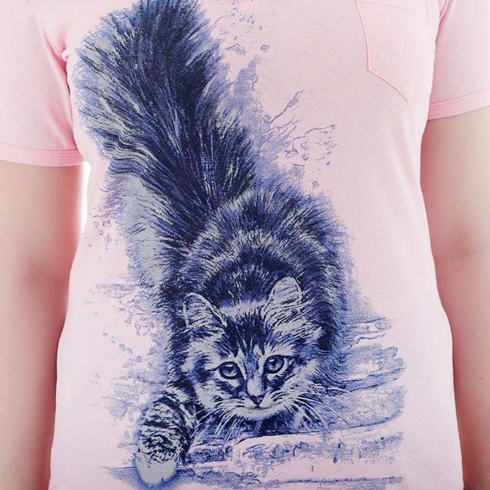 Комплект женский (футболка, бриджи) М-170/1-09 роза, василек, р-р 48