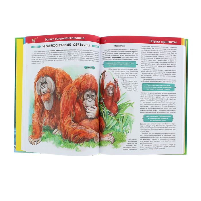 Большая детская энциклопедия животных