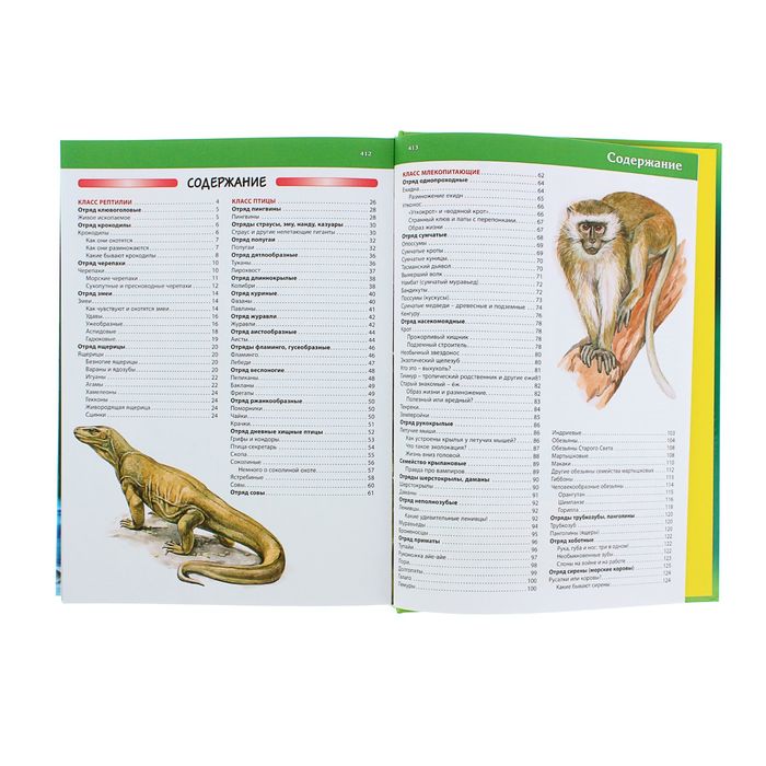 Большая детская энциклопедия животных