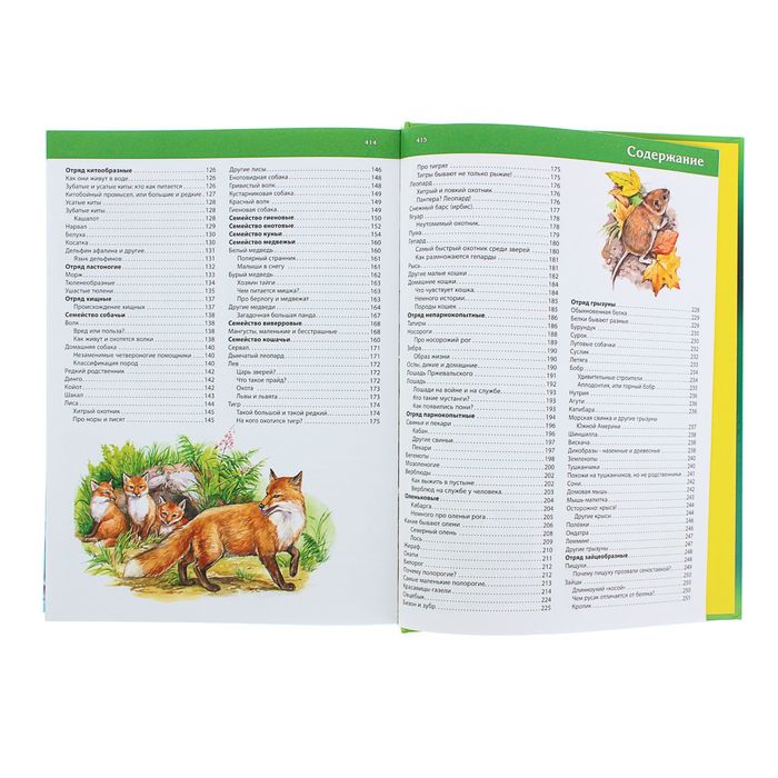 Большая детская энциклопедия животных