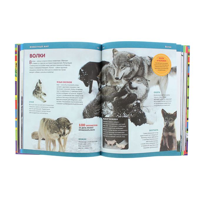 Большая иллюстрированная энциклопедия для девочек и мальчиков