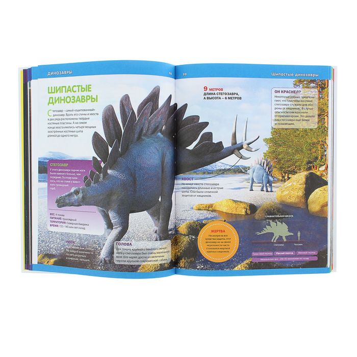 Детская энциклопедия. Большой подарок для мальчиков и девочек