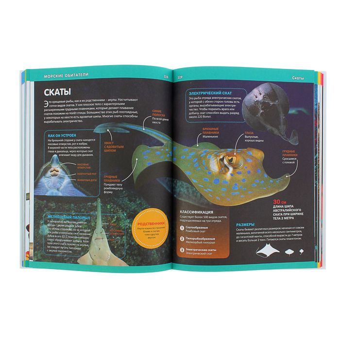 Детская энциклопедия. Большой подарок для мальчиков и девочек