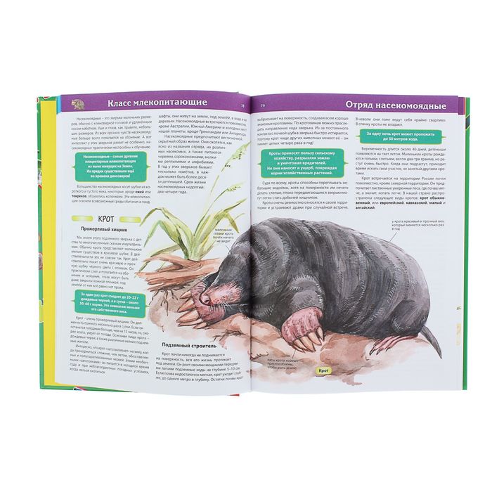 Энциклопедия "Что? Кто? Зачем? Почему? Животные" 416стр