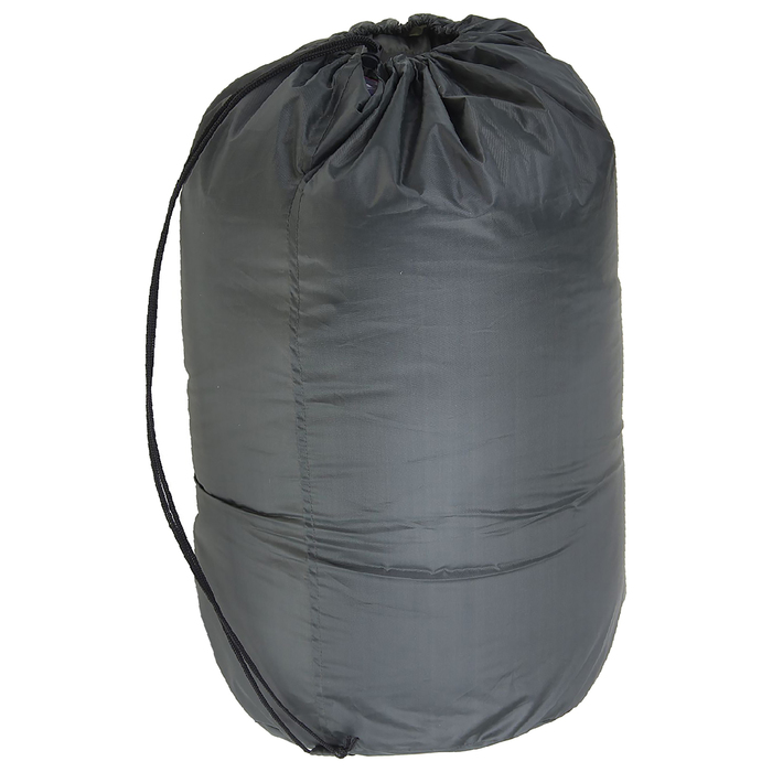 Спальный мешок GEOLOG 600, размер 200+35х90 см, -20/-5 °С