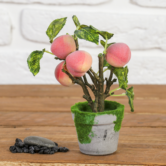 Бонсай "Дерево с персиками"