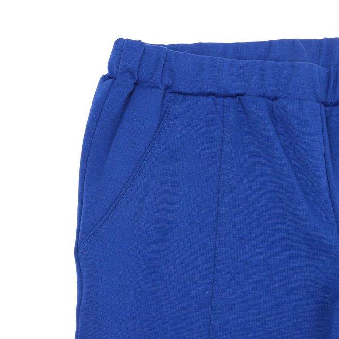 Брюки женские, размер 42, рост 168 см, цвет синий (арт. 1532)