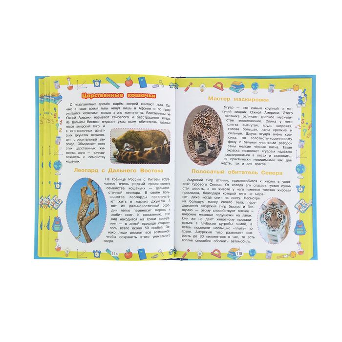 Большой подарок школьникам. Автор: Никитенко Е.С.