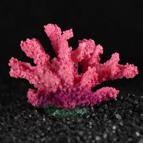 Декоративный коралл 'Синулярия', 10 х 5 х 6,5 см Ош