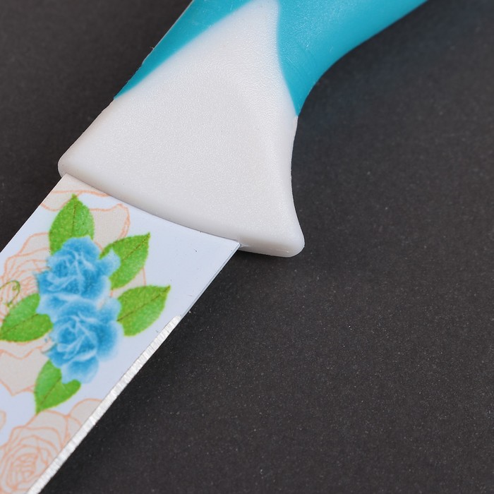 Нож с антиналипающим покрытием "Райский сад", лезвие 12,5 см, МИКС