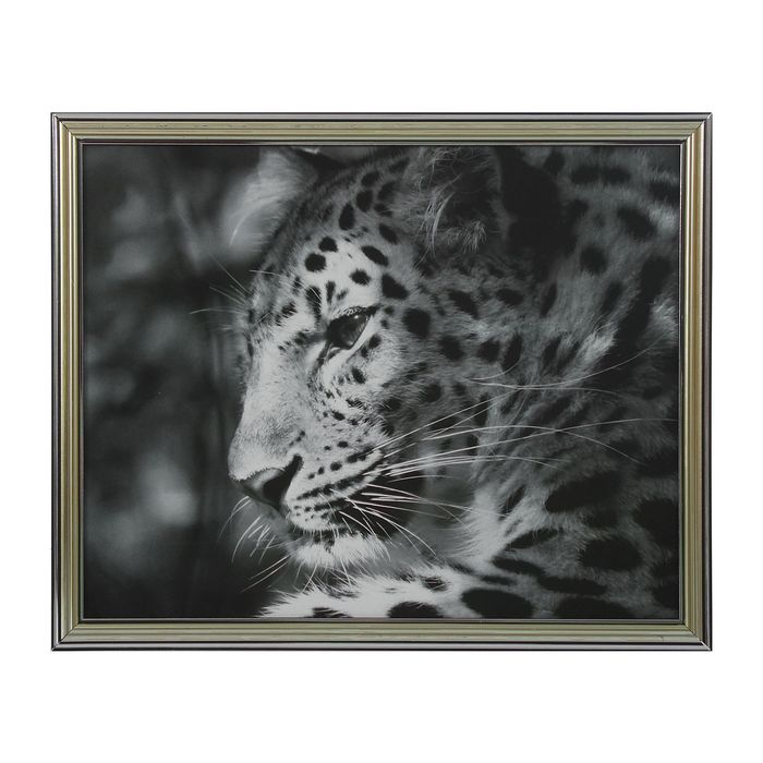 Картина "Гепард"