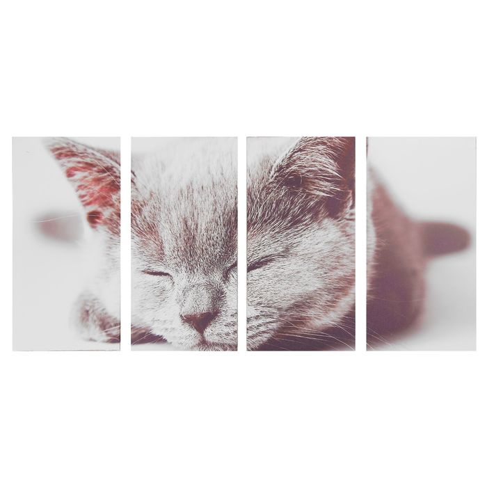Модульная картина на подрамнике "Киса", 4 — 30×60 см, 126×60 см
