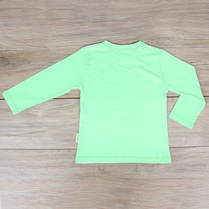 Футболка с длинным рукавом детская "Медвежонок Винни: Лучшие друзья", Дисней беби, рост 92-98 (56) см, 2 года, 100% хлопок