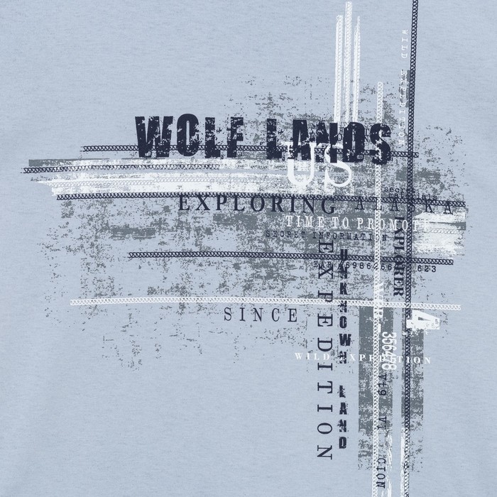 Комплект мужской (джемпер, брюки), размер 48, цвет серый (арт. 945)