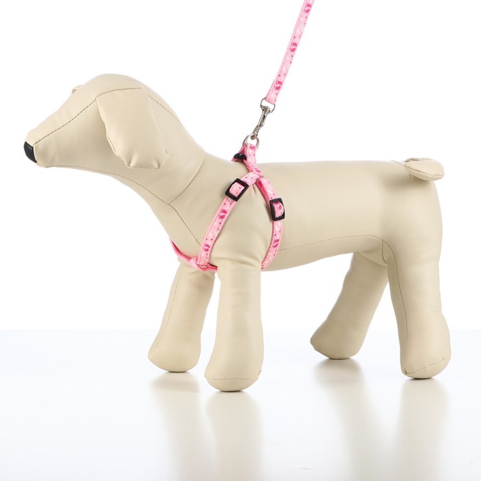 Комплект прошитый "Цветные лапки", ширина 1 см, поводок 120 см, шлейка 20-30 см, розовый