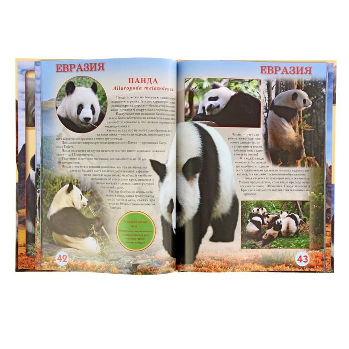 Энциклопедия «Животный мир шести континентов»