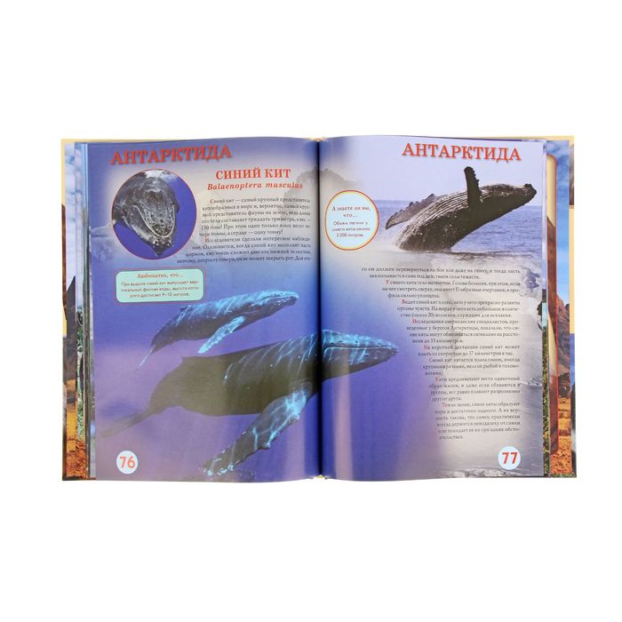 Энциклопедия «Животный мир шести континентов»