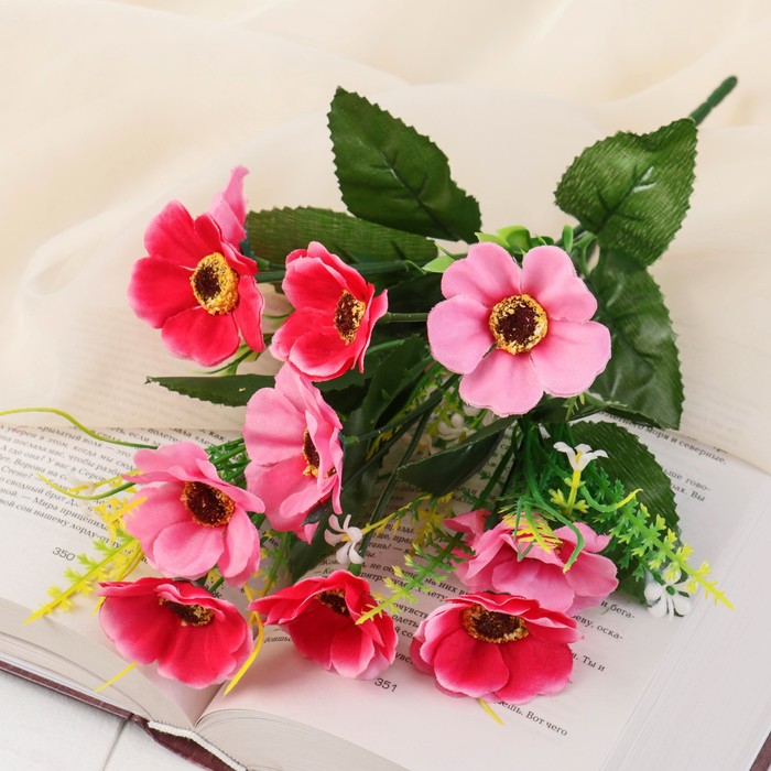 Букет "Космея первоцвет" микс