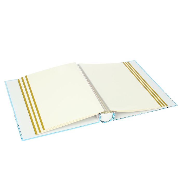 Фотоальбом магнитный 20 листов "Цветочки в горшочке" в коробке МИКС