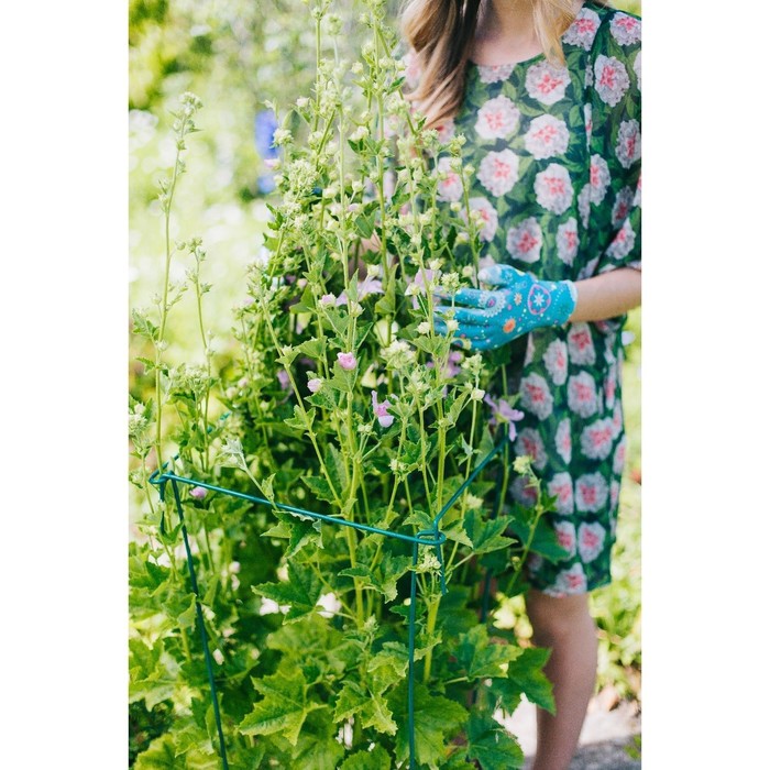 Кустодержатель, h=100 см, ножка d=2 см, металл, набор 5 шт., зелёный