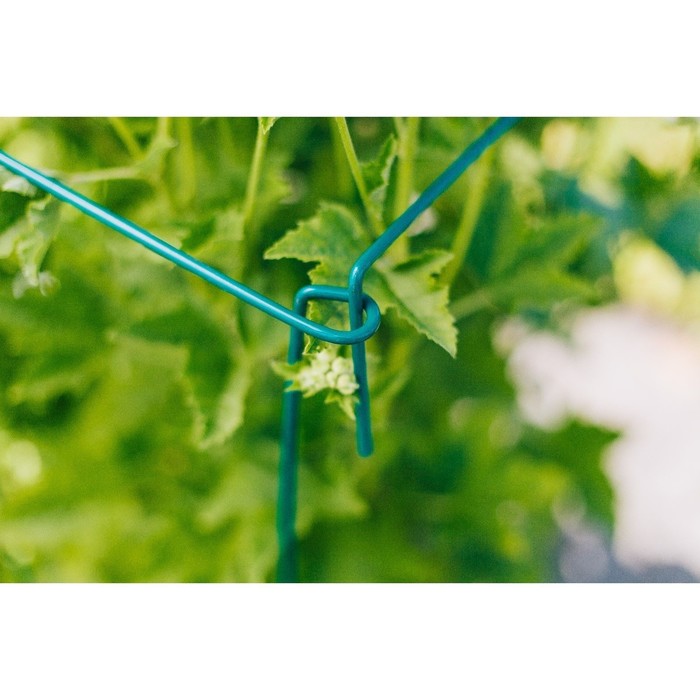 Кустодержатель, h=100 см, ножка d=2 см, металл, набор 5 шт., зелёный