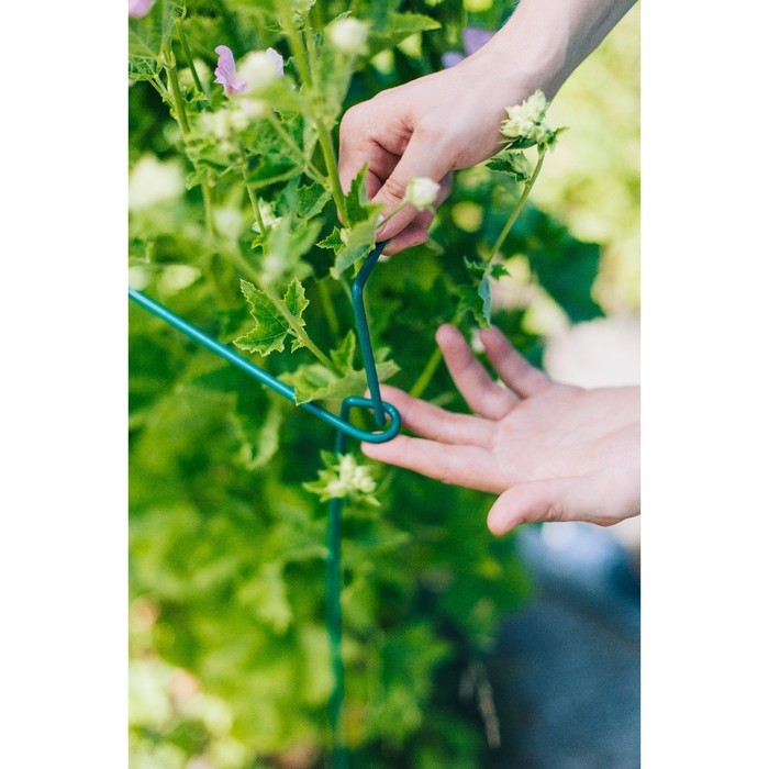 Кустодержатель, h=100 см, ножка d=2 см, металл, набор 5 шт., зелёный