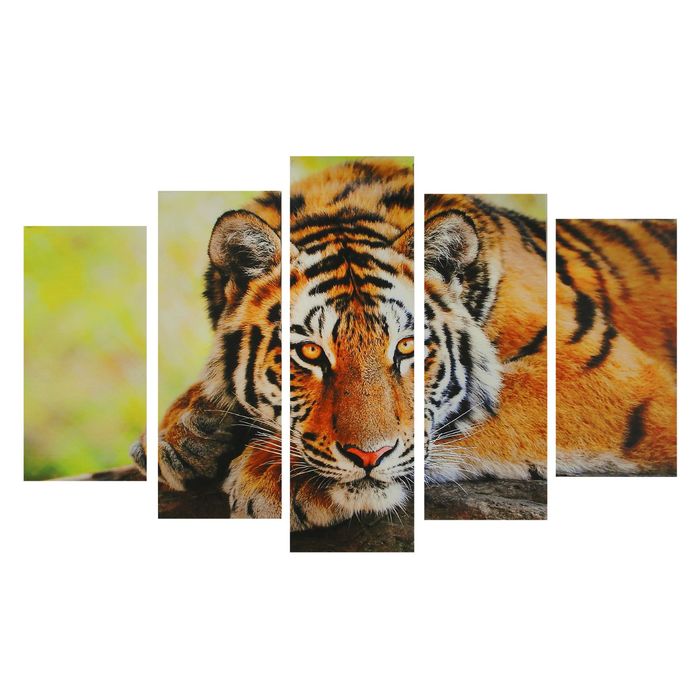 Картина модульная на подрамнике Таинственность тигра 2-25*52,2-25*66,1-25*8, 80*140 см картина модульная на подрамнике иллюзия 2 25 63 2 25 71 1 25 80 125 80 см