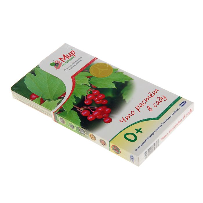 Мир на ладошке. Что растёт в саду