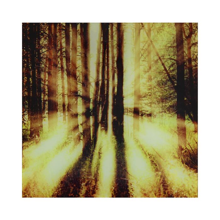 Картина на стекле "Свет в лесу"