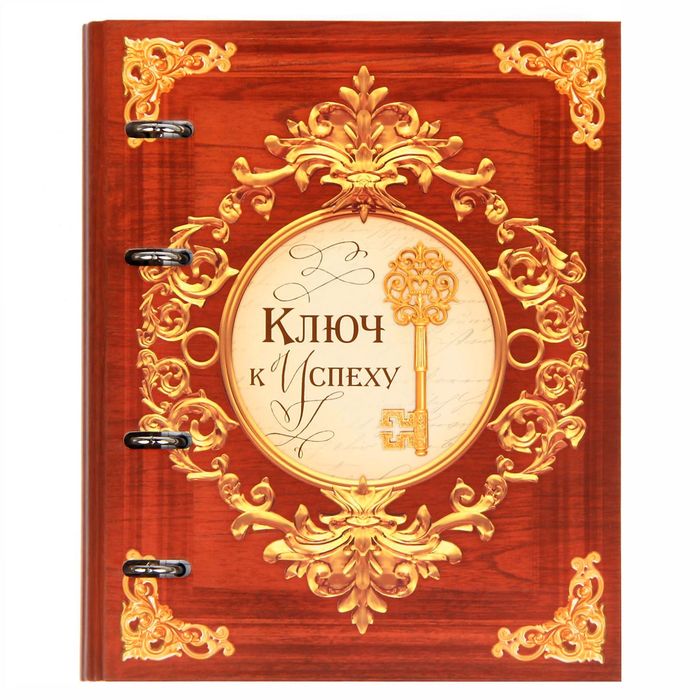 Тетрадь на металлических кольцах "Ключ к успеху", твёрдая обложка, 80 листов
