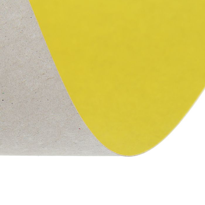 Картон цветной А4, 10 листов, 10 цветов (золото+серебро) "Зайка", немелованный, плотность 220 г/м