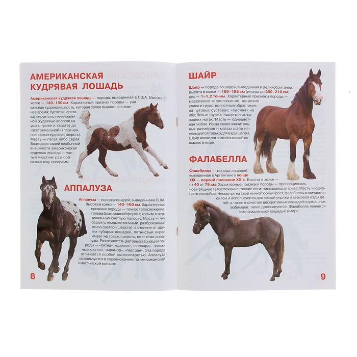 Большая книга «Лошади и пони»