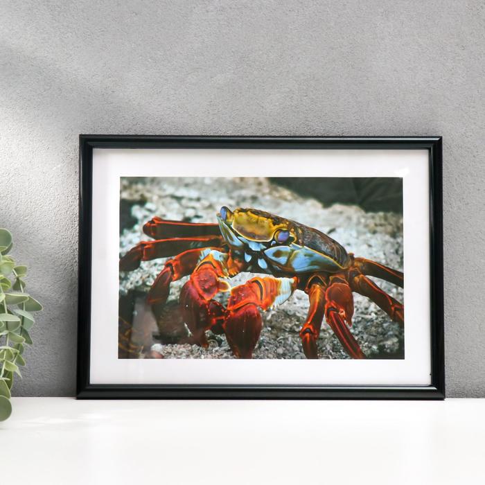 Фоторамка 21х30 см "Уголёк"