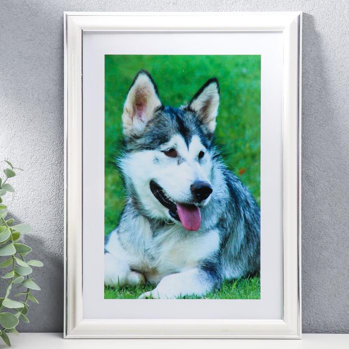 Фоторамка 21х30 см "Белое серебро"