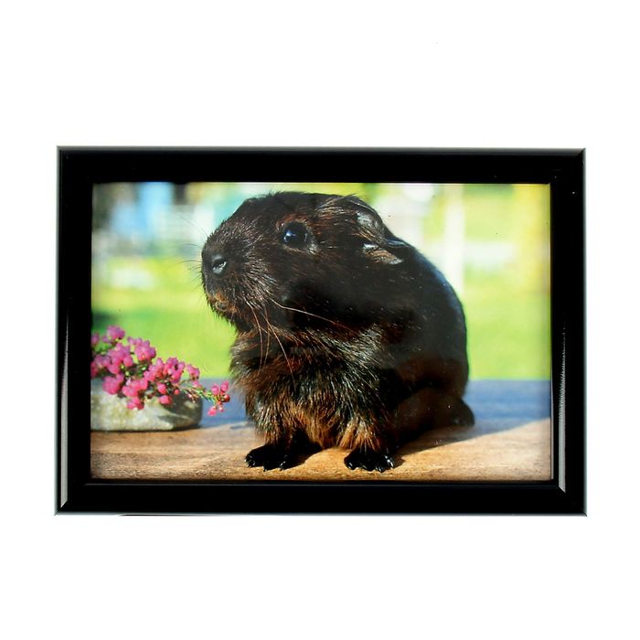 Фоторамка 10х15 см "Уголёк"