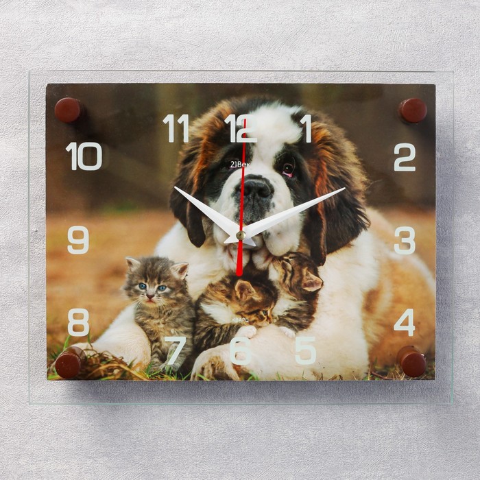 Часы настенные прямоугольные "Сенбернар и котята", 20х26 см микс