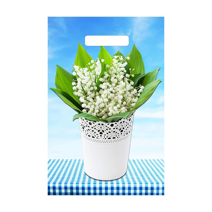 Пакет "Ландыши", полиэтиленовый с вырубной ручкой 30х20 см, 30 мкм