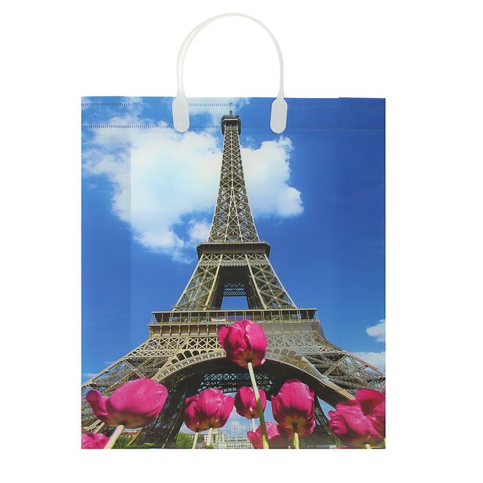 Пакет "Бонжур", мягкий пластик, 40 х 32 см, 140 мкм