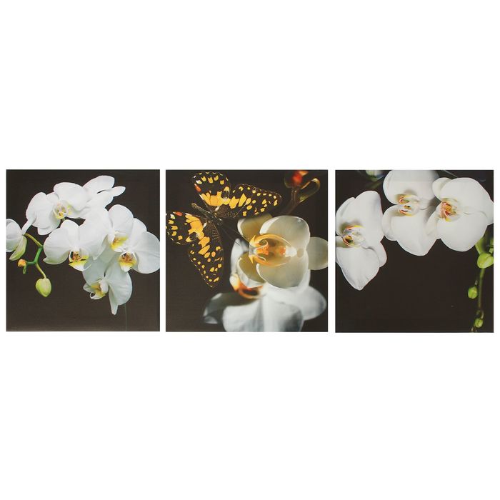 Модульная картина на подрамнике "Бабочка", 3 шт. — 28×28 см, 28×84 см