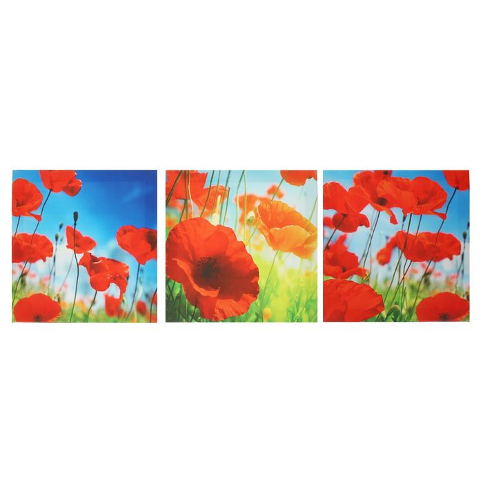 Модульная картина на подрамнике "Маковое поле", 3 шт. — 28×28 см, 28×84 см