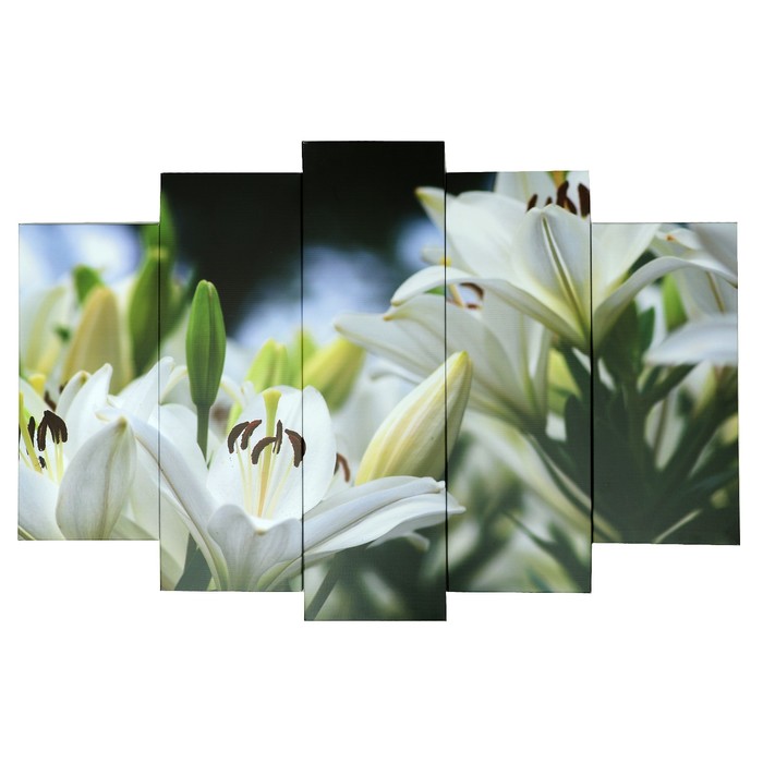 Модульная картина на подрамнике "Белые лилии", 2 — 53×16, 2 — 70×24, 1 — 80×34 см, 120×80 см