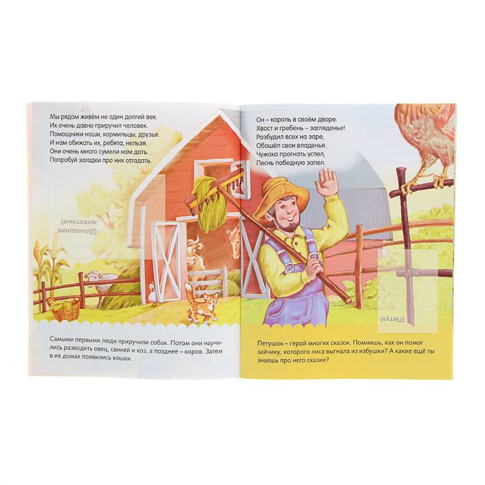 Загадки с наклейками в стихах "Домашние животные", УФ-лак