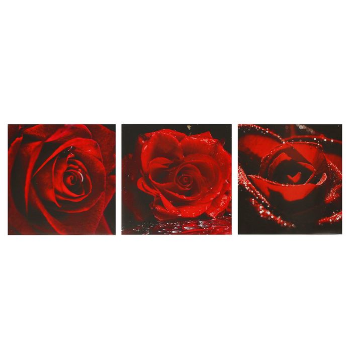 Модульная картина на подрамнике "Бархат"