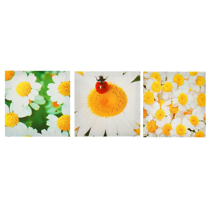 Модульная картина на подрамнике "Ромашковое поле", 3 шт. — 28×28 см, 28×84 см