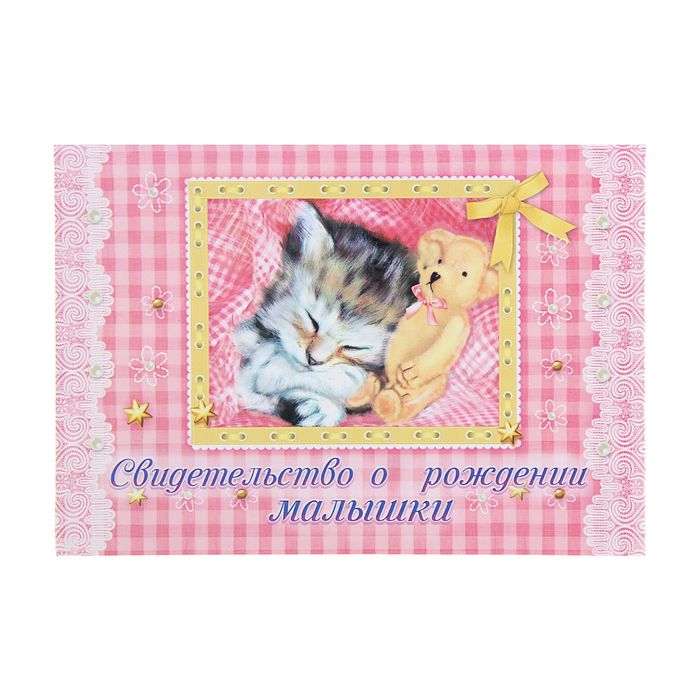 Папка под свидетельство "О рождении малышки"